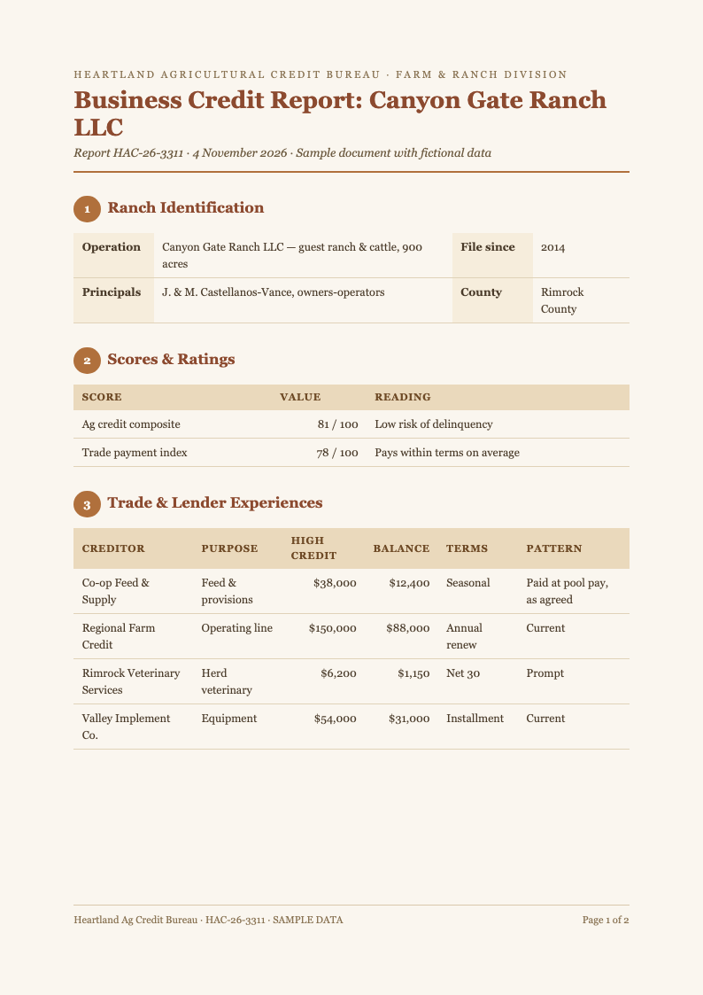 Earth tone natural credit report